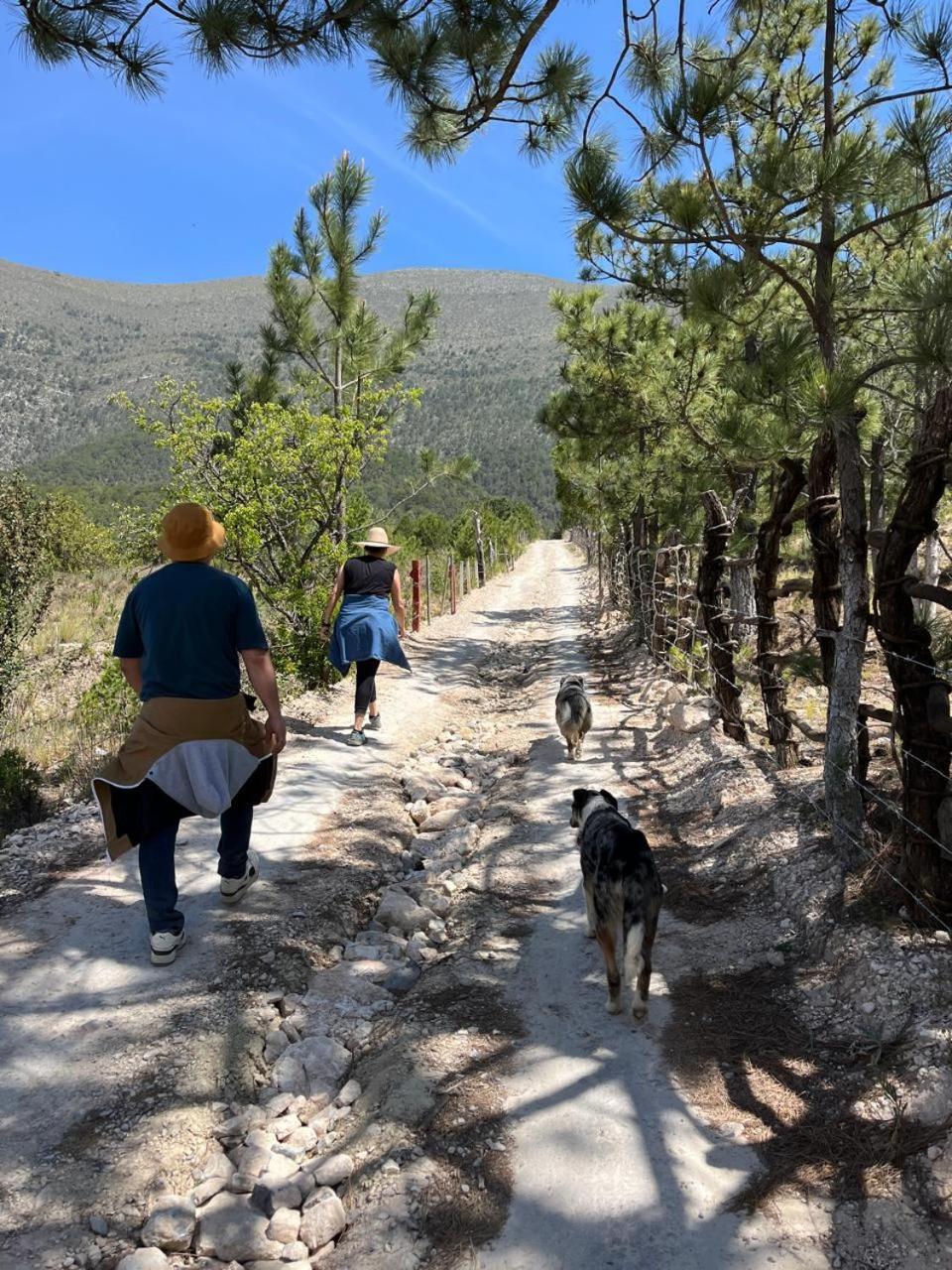 Camping En La Sierra De Arteaga Los Lirios Zewnętrze zdjęcie