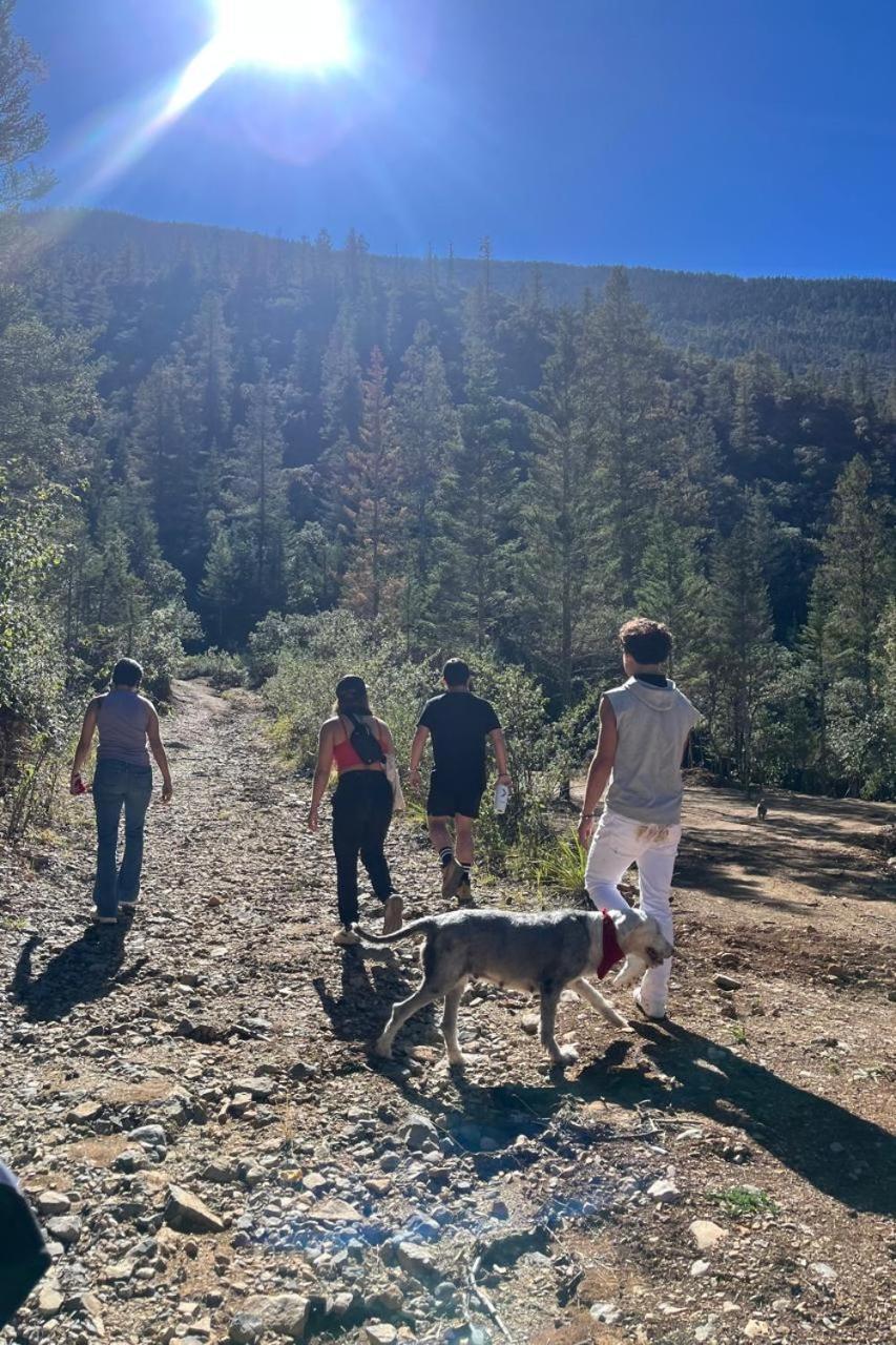 Camping En La Sierra De Arteaga Los Lirios Zewnętrze zdjęcie