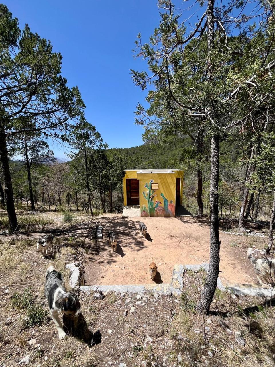 Camping En La Sierra De Arteaga Los Lirios Zewnętrze zdjęcie