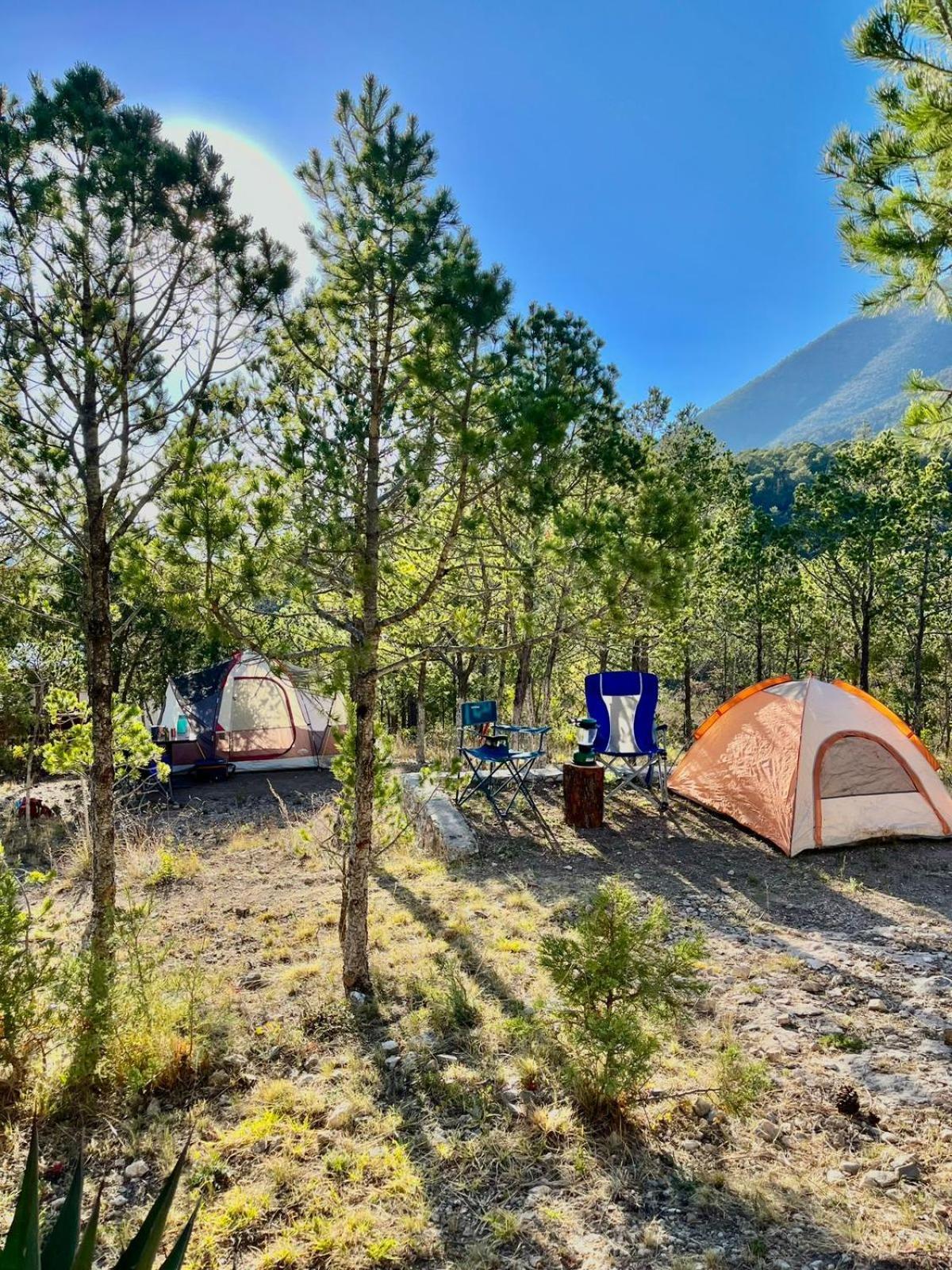 Camping En La Sierra De Arteaga Los Lirios Zewnętrze zdjęcie